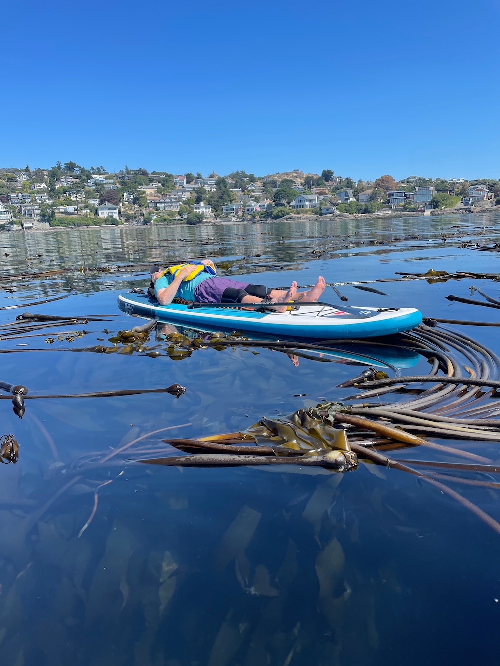 https://mertales.ca/wp-content/uploads/2024/01/kelp-float-paddle-6.jpeg